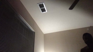 Dade727  19-11-2021 video stockings